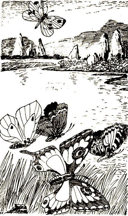 Пришельцы из космоса i_025.png