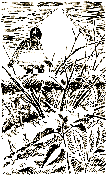 Пришельцы из космоса i_009.png