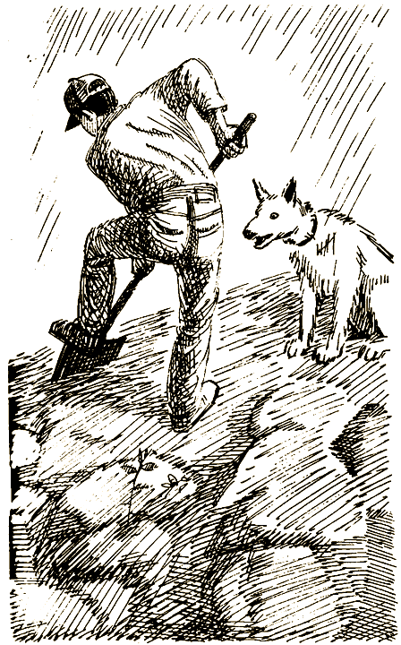 Пришельцы из космоса i_016.png