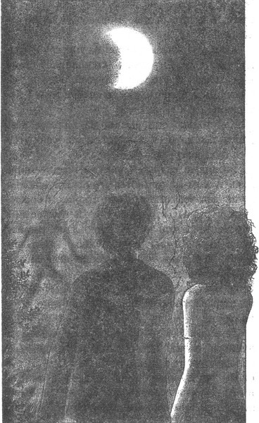 Колючник _pic12.jpg