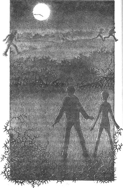 Колючник _pic13.jpg