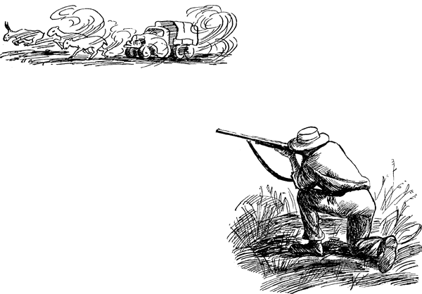Енот, нутрията и другие зверята i_016.png