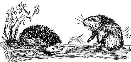 Енот, нутрията и другие зверята i_017.png