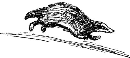 Енот, нутрията и другие зверята i_020.png