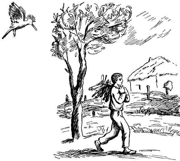 Енот, нутрията и другие зверята i_001.png