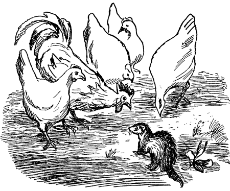 Енот, нутрията и другие зверята i_002.png