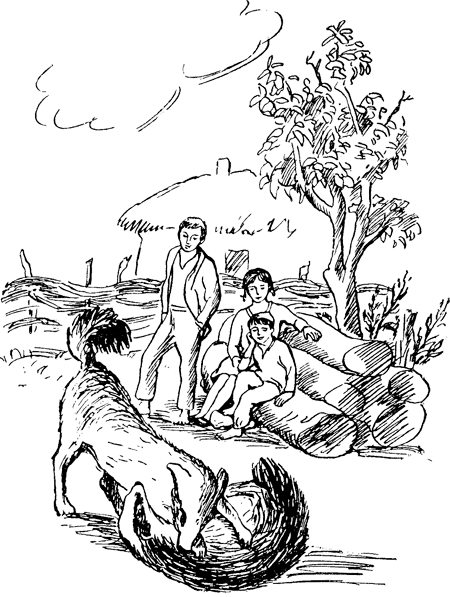 Енот, нутрията и другие зверята i_005.png