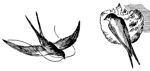 Енот, нутрията и другие зверята i_006.png