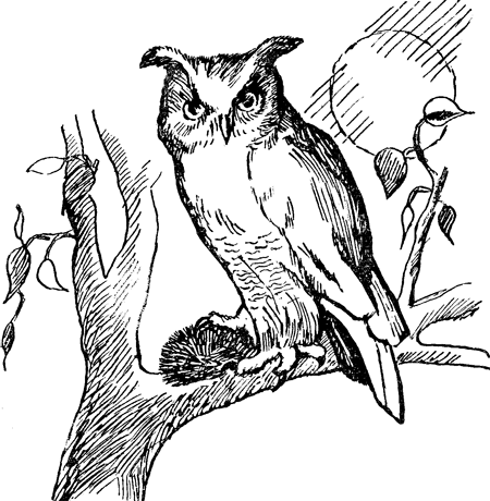Енот, нутрията и другие зверята i_007.png