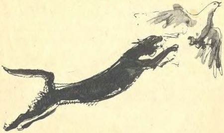 Короткое детство i_019.jpg