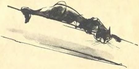 Короткое детство i_042.jpg