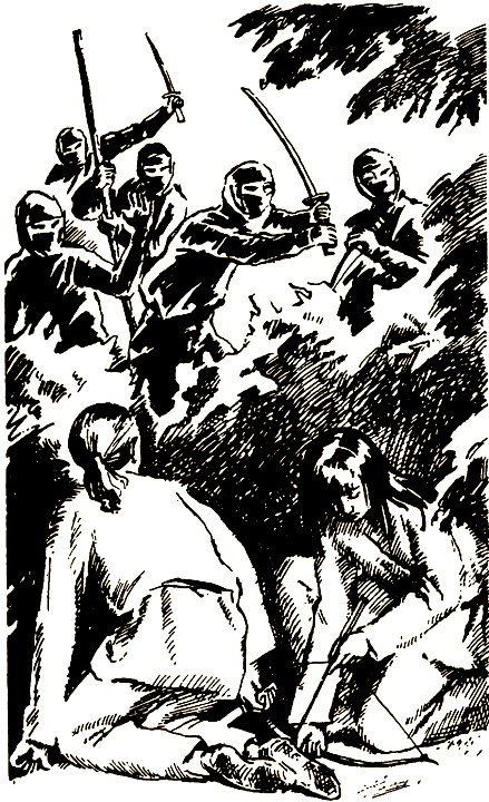 Секрет ниндзя i_005.png