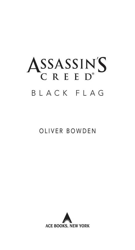 Assassin's creed : Black flag  _1.jpg