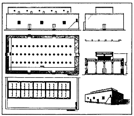 Царь Соломон i_027.png