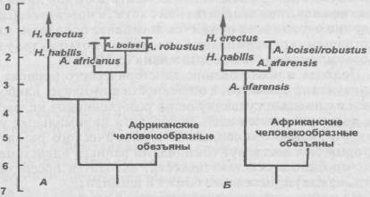 Антропология. Хрестоматия i_009.jpg