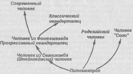 Антропология. Хрестоматия i_014.jpg