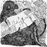 Поль и Виргиния. Индийская хижина img_21.jpeg