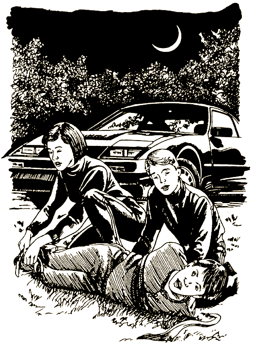 Место преступления i_022.png