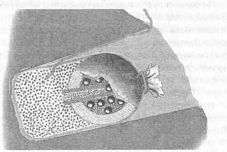 Мины вчера, сегодня, завтра i_011.jpg