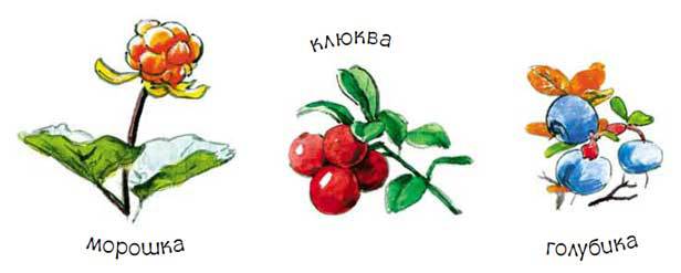 Тайга _6.jpg