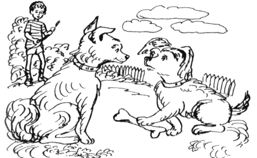Избранное. Повести и рассказы i_022.png