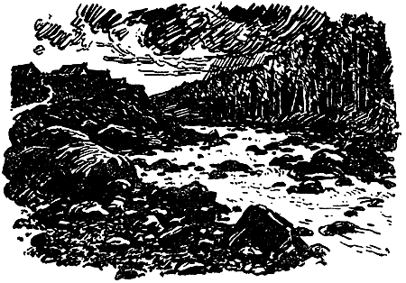 Зелен камень i_003.png