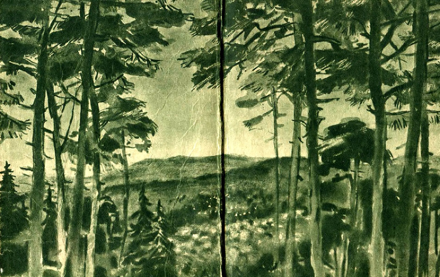 Зелен камень i_010.jpg