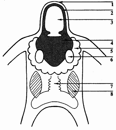 Тайна сверхчеловека, или Откровения «Ангара-18» i_002.png