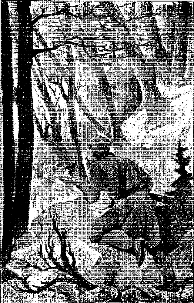 Записки охотника Восточной Сибири i_021.png