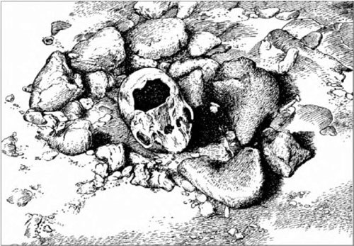 Неандертальцы: история несостоявшегося человечества img_08_05.jpg