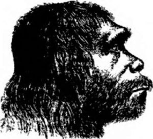 Неандертальцы: история несостоявшегося человечества img_02_04.jpg