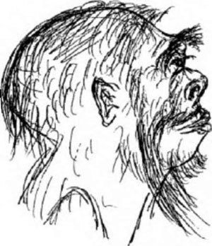 Неандертальцы: история несостоявшегося человечества img_02_05.jpg