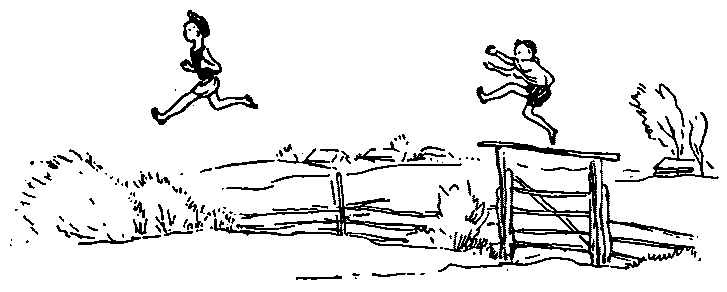 Тридцать три желания (сборник) pic07.png
