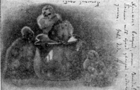 Том 30. Письма 1904. Надписи i_007.jpg