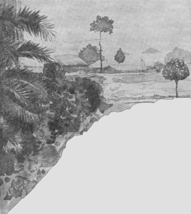 Том 28. Письма 1901-1902 i_003.jpg