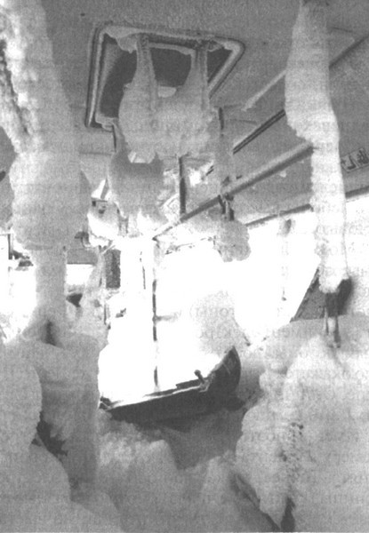 Наполовину мертвый кот, или Чем нам грозят нанотехнологии i_018.jpg