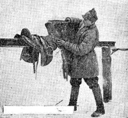 Боевой товарищ. Лошадь и уход за ней i_010.jpg