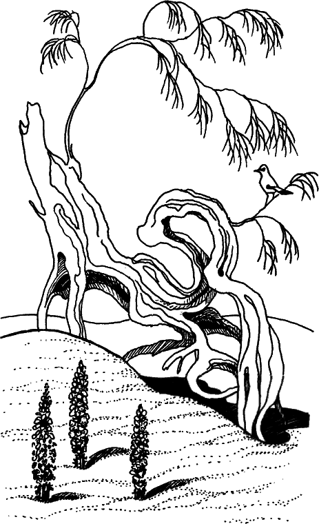 Загадки остались i_002.png