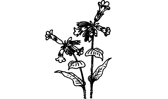 Загадки остались i_019.png