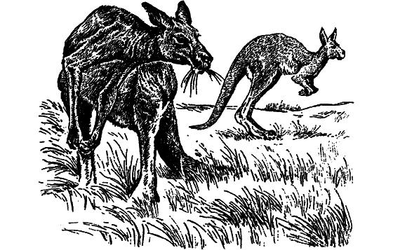 Загадки остались i_028.png