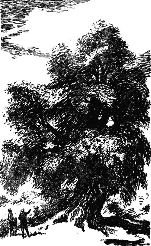 Высокая макуша. Степан Агапов. Оборванная песня i_001.png