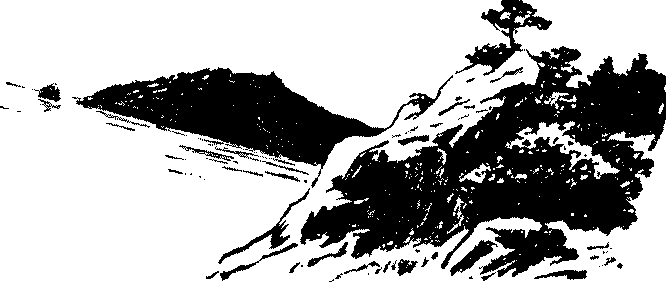 Тихая бухта pic02.png
