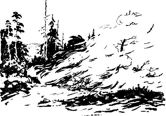 Тихая бухта pic20.png
