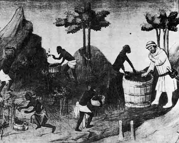 Время мира image11a.jpg