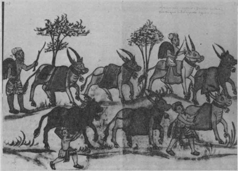 Время мира image157.jpg