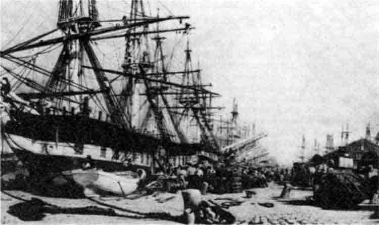 Время мира image183a.jpg