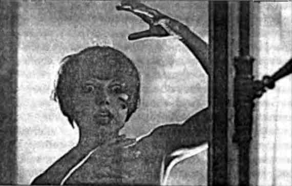 Формулы страха. Введение в историю и теорию фильма ужасов i_025.jpg