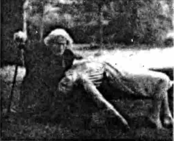 Формулы страха. Введение в историю и теорию фильма ужасов i_012.jpg