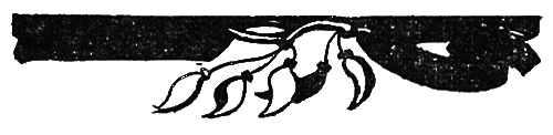 Дальние края i_011.png