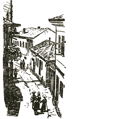 Толя-Трилли img23.png